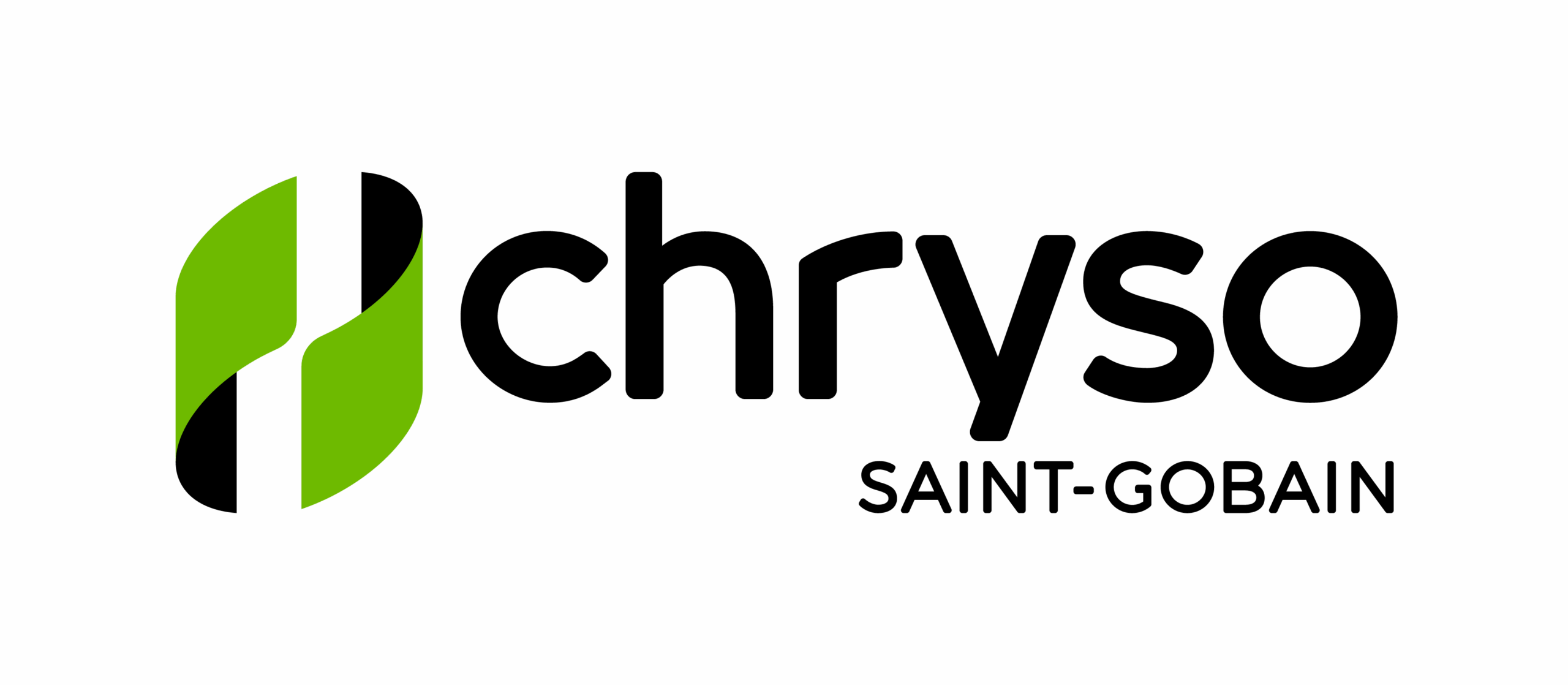 240606_CHRYSO_LOGO_RGB_Green-2